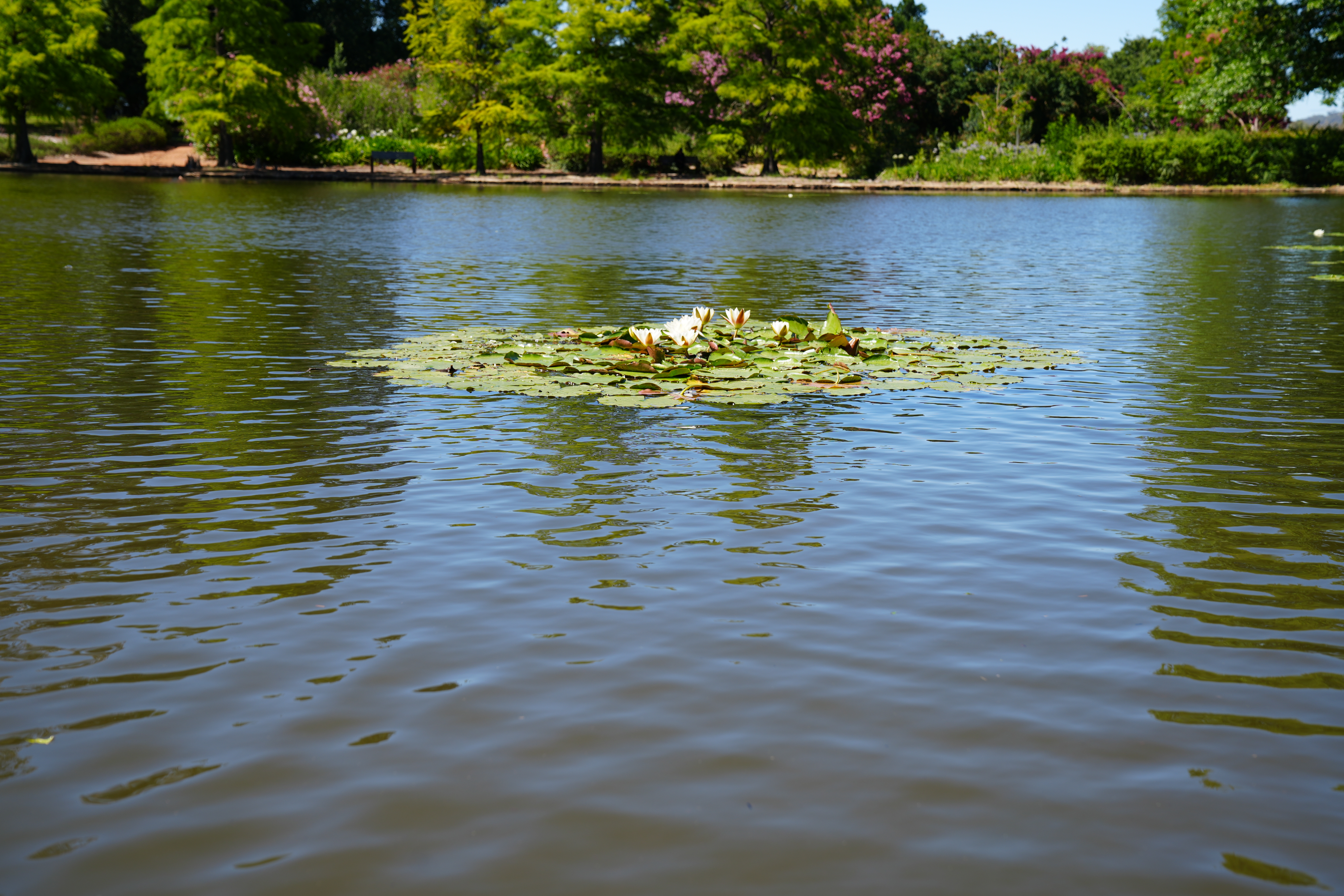 Water quality header