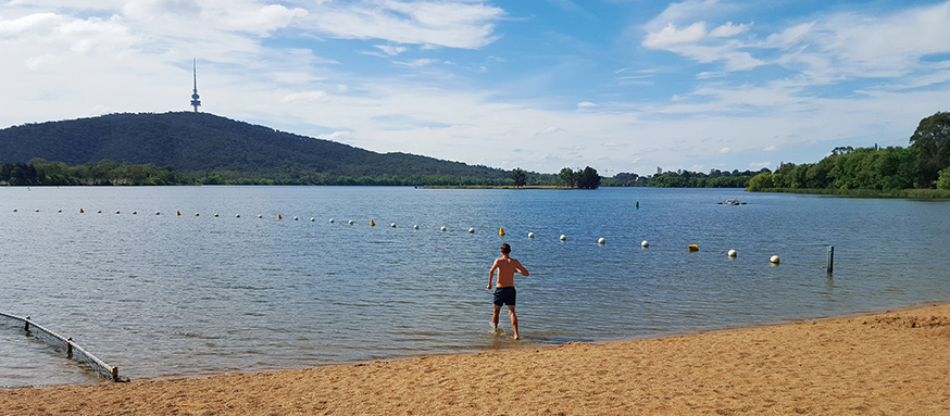 Swimmer at Lake Burley Griffin Swimmer at Lake Burley Griffin