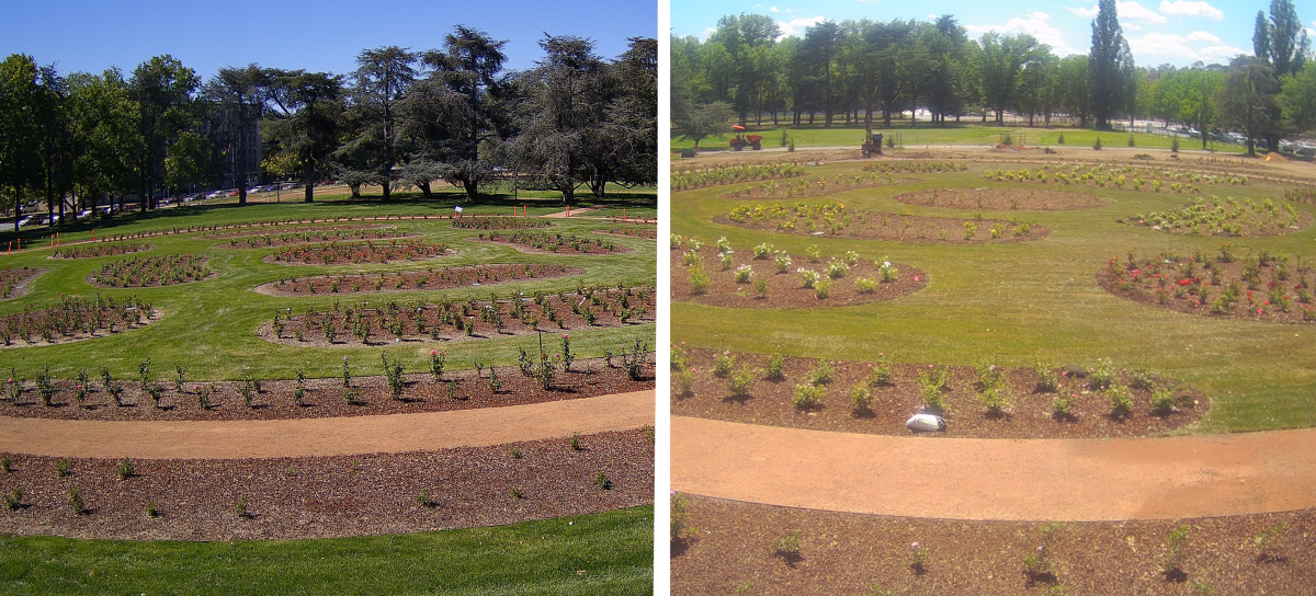 National Rose Garden Joint