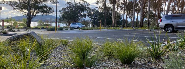 Parking area, Parkes.