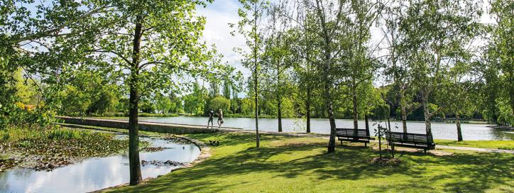Commonwealth Park, Parkes