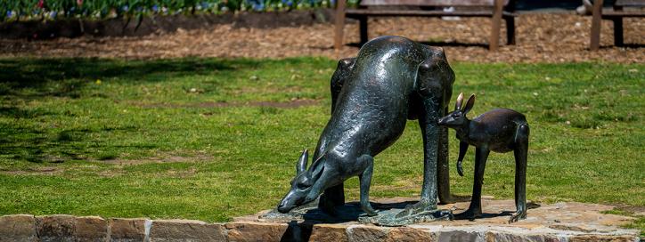Kangaroo and Joey sculpture, Commonwealth Park, Parkes.