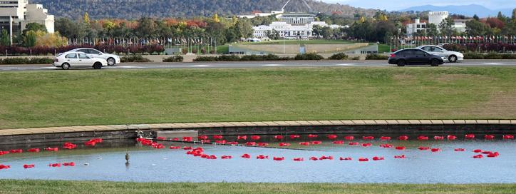 Rond Pond, Parkes.