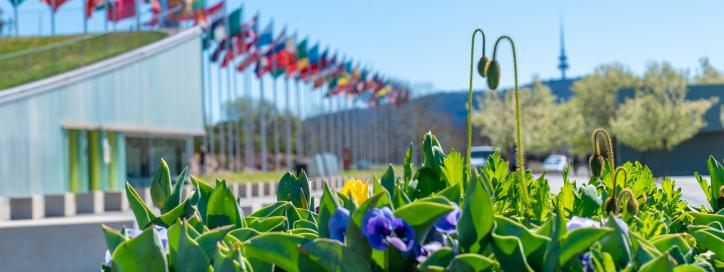 Floriade Flower Crates filled with colourful flowers