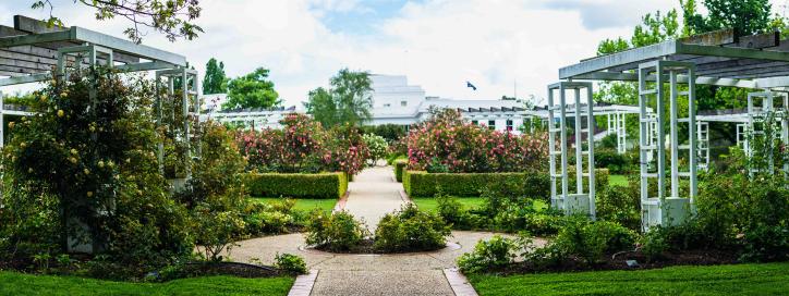 Old Parliament House Gardens on the Senate side. Circular trellis surrounded by plants with Old Parliament House in background.