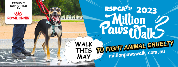 RSPCA Million Paws Walk 2023 Promotional Banner featuring a happy dog and text saying - Walk This May to fight animal cruelty millionpawswalk.com.au Proudly Supported by Royal Canin