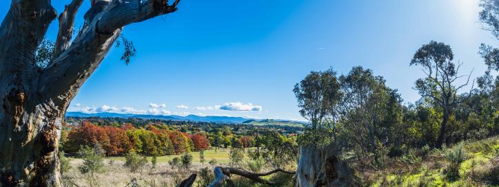 A photograph of Stirling Park, Yarralumla is visible in the distance.