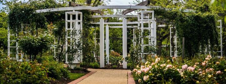 Photo of Old Parliament House Gardens