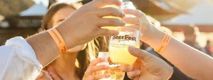People Cheers-ing their beers