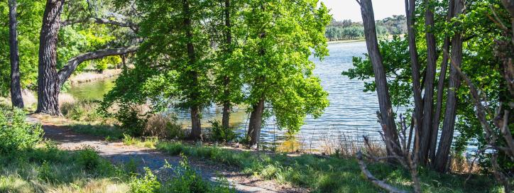 Acton Peninsula Path