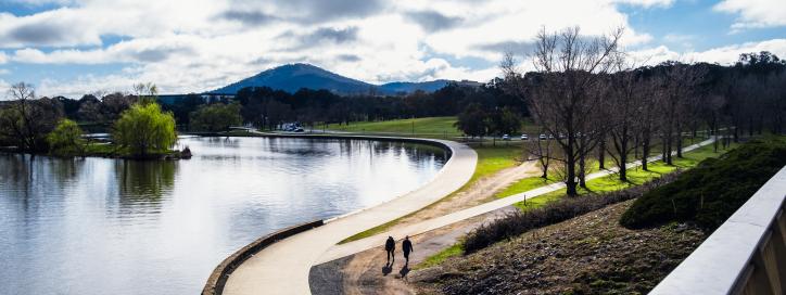 Kings Park in need of restoration