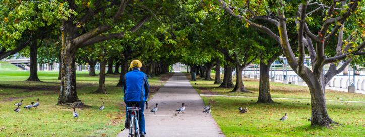 Bicycle Riding in the National Triangle 