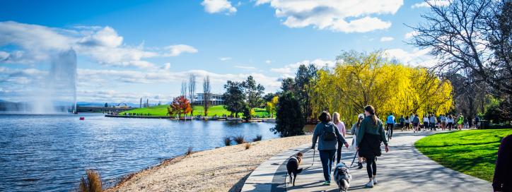 People walking their dogs around central basin of Lake Burley Griffin