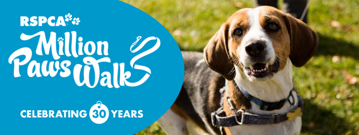 Million Paws Walk - Dog with Flappy Ears