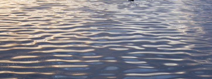 water ripples