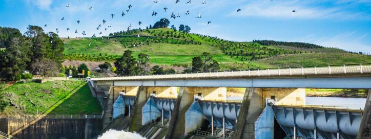 Scrivener Dam with birds