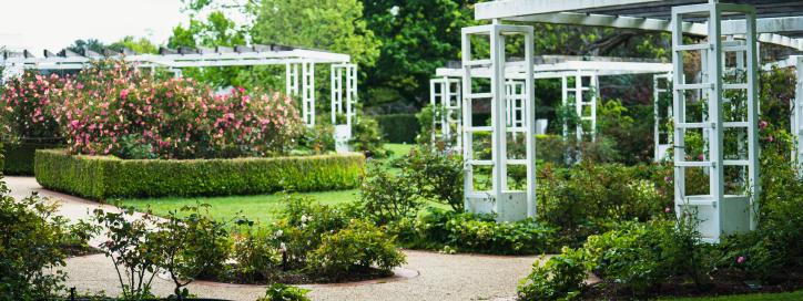 OPH garden