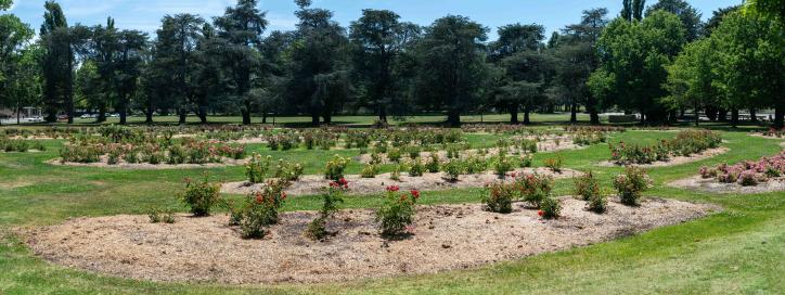 National Rose Gardens