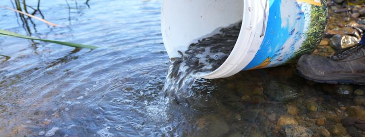 Fish release