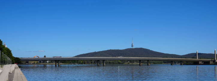 Bridge Cover image
