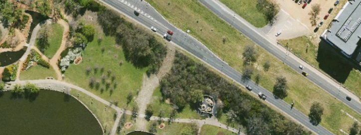 Parkes Way - Pest Plant Remediation 
