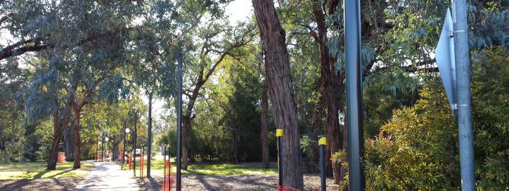 Commonwealth Park Lighting Replacement 