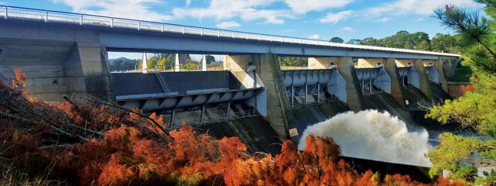 Scrivener Dam.