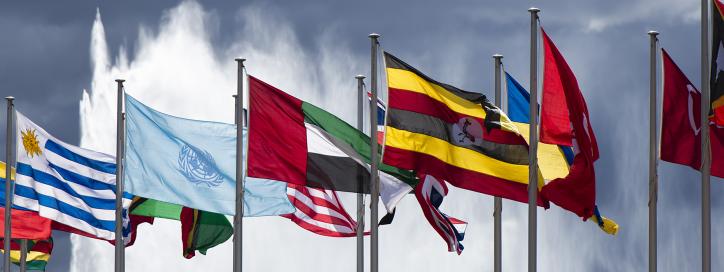 International Flag Display