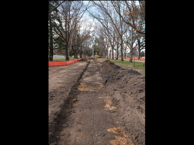 National Rose Garden Works - 15