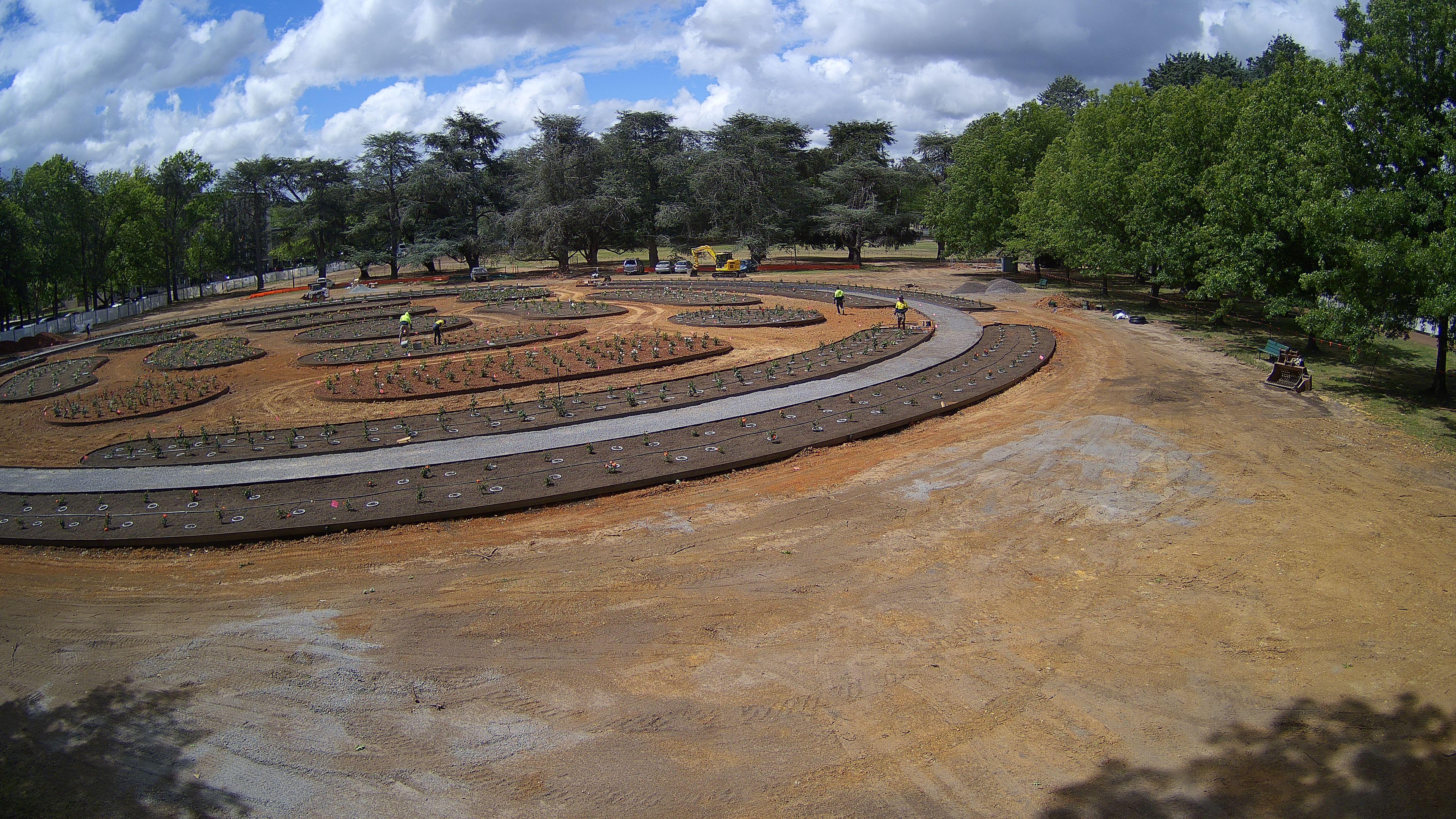 National Rose Garden Planting - 2