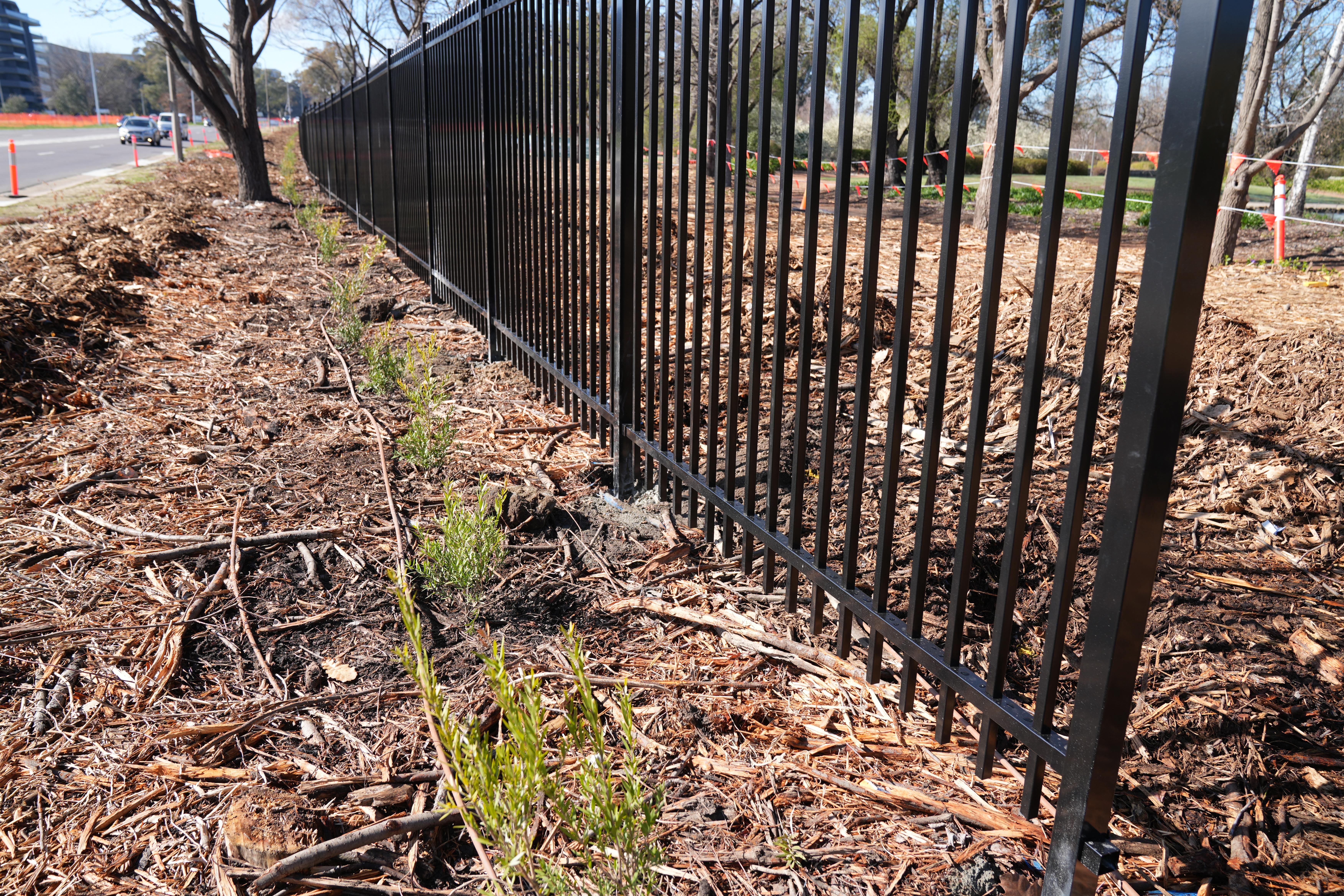Parkes Way Planting 7