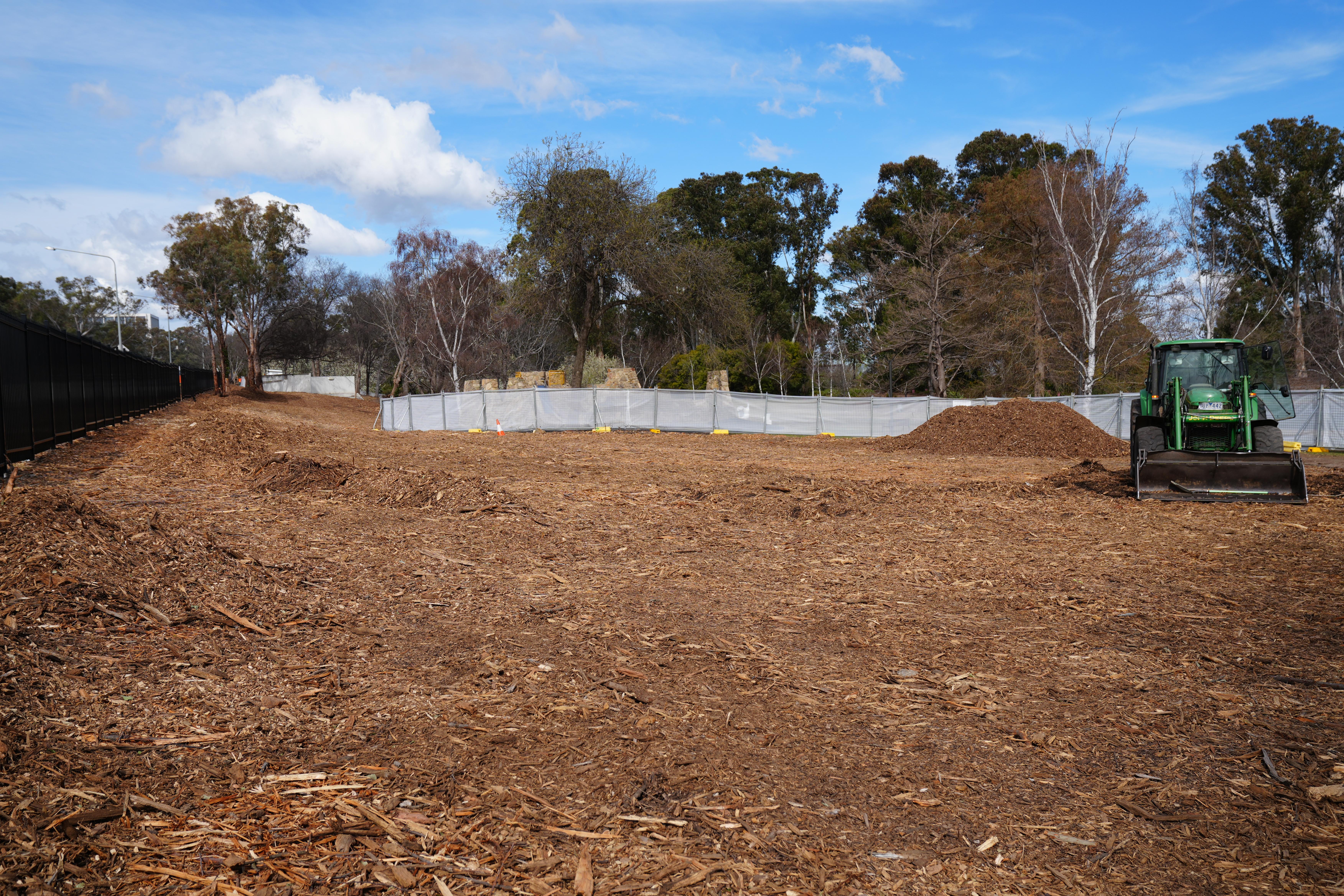 Parkes Way Planting 3