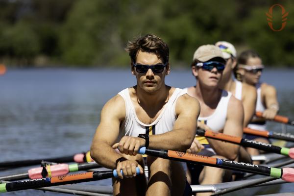 Rowers on the lake