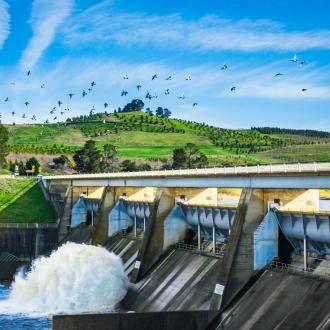 Scrivener Dam with birds