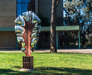 Growth, Tree of Life, Campbell Park Offices, Campbell. 