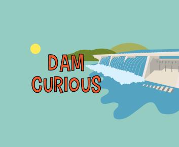 Dam Curious