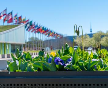 Floriade Flower Crates filled with colourful flowers