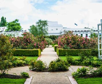 Old Parliament House Gardens on the Senate side. Circular trellis surrounded by plants with Old Parliament House in background.