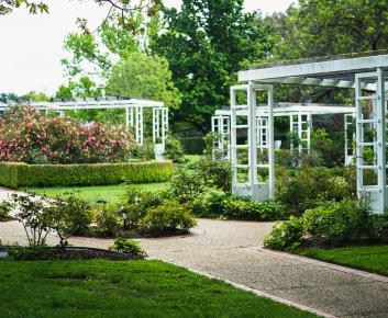 OPH garden