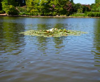 Water quality header