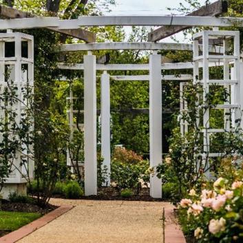 Photo of Old Parliament House Gardens
